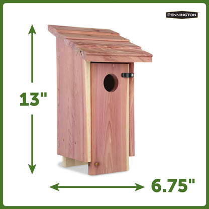 Red Cedar Bluebird Wild Bird House, 2 Pack 13'' Tall