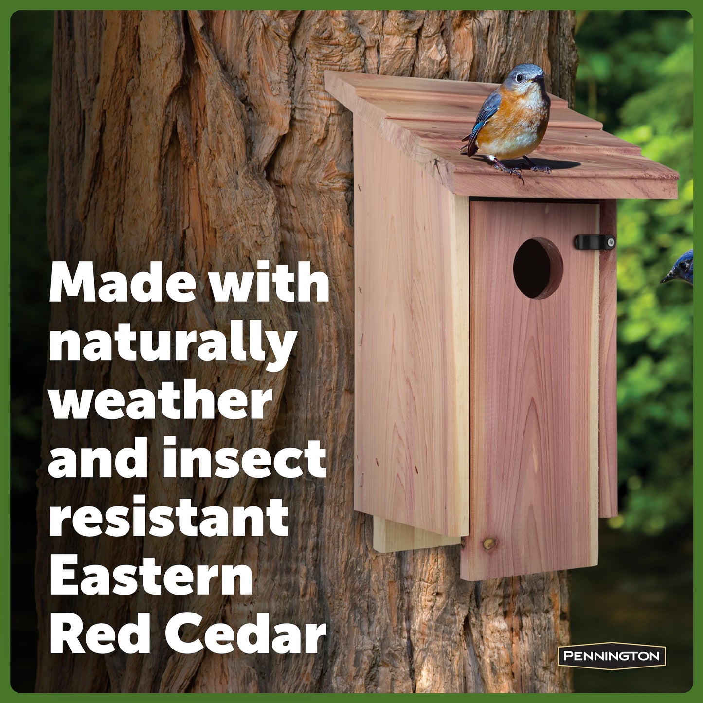 Red Cedar Bluebird Wild Bird House, 2 Pack 13'' Tall